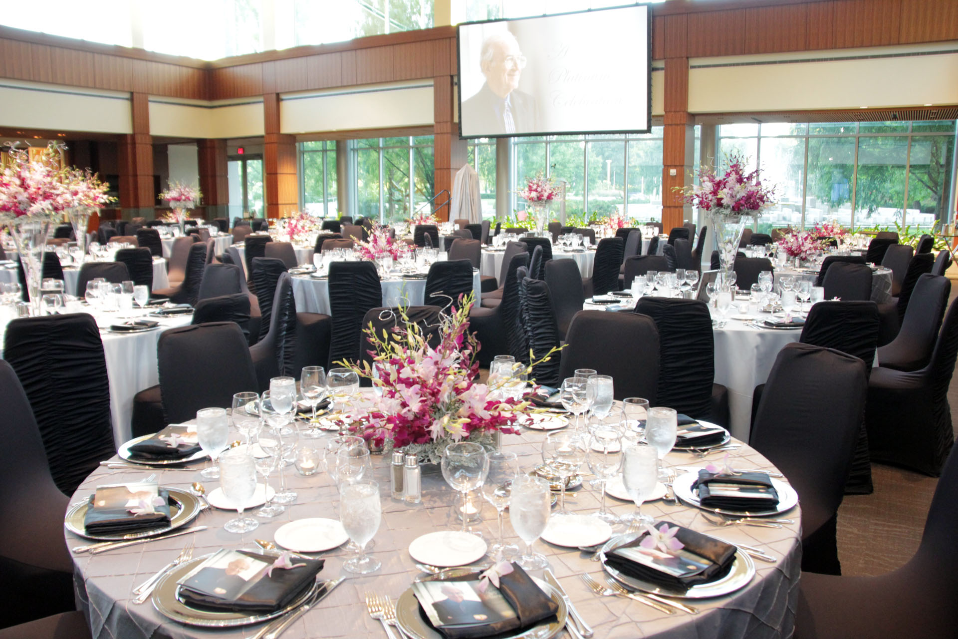 Iu School Of Medicine Platinum Celebration